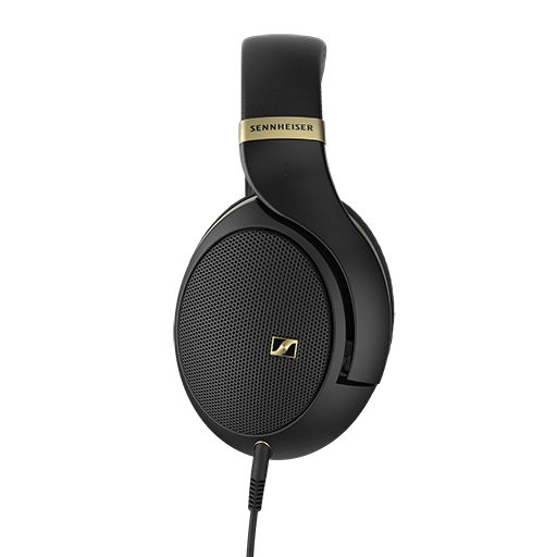 HD 505 Gold with Bonus HD 500 BAM Microphone
