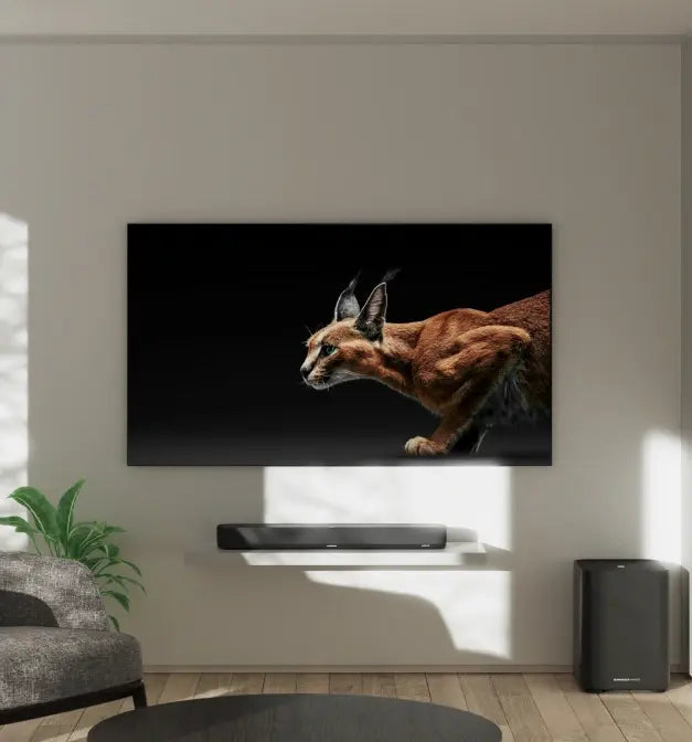 動能運動 圖片 02